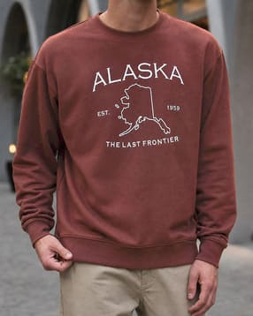 Shein Men Full Sleeve Graphic Chest Print Crew Sweatshirt-picture-11